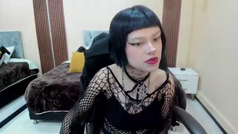 Bela online show from 3, 7, 2026