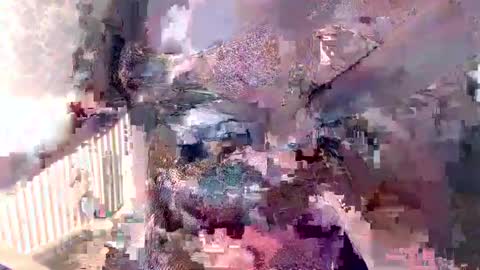      online show from 5, 12, 2024