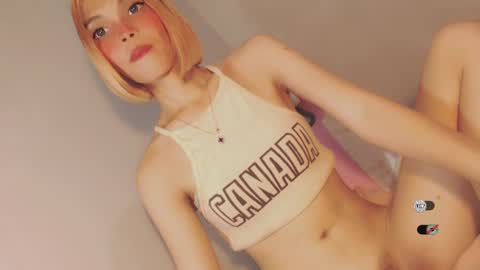 Snapshot of bella_tara chatting on 28, 12, 2024 Bella online show from 28, 12, 2024