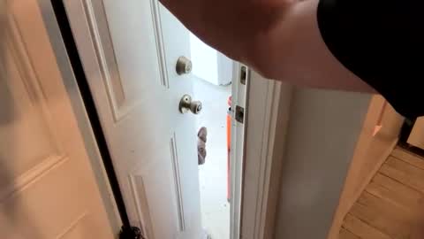 Snapshot of bellabeanz chatting on 19, 2, 2025 Roxy Rain online show from 19, 2, 2025