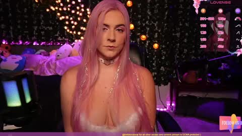 Bellalunabear trans   JadePlant Cis online show from 1, 12, 2024