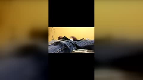 bellaco28 online show from 27, 2, 2026