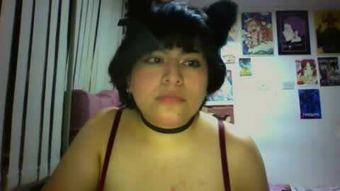 Bella online show from 17, 3, 2026