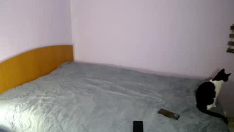 Snapshot of bellaqueen0701 chatting on 6, 3, 2025 bellaqueen0701 online show from 6, 3, 2025