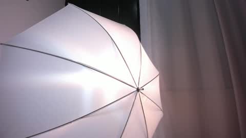 Bella Wild online show from 12, 2, 2026