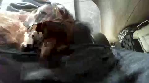 beninoam75 online show from 9, 1, 2026