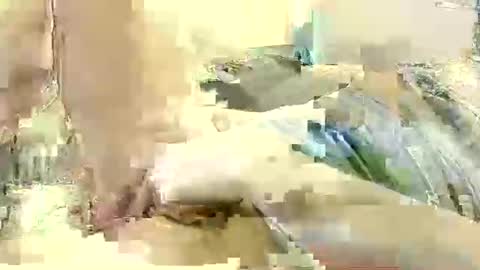 Benutzmich0800 online show from 8, 12, 2024