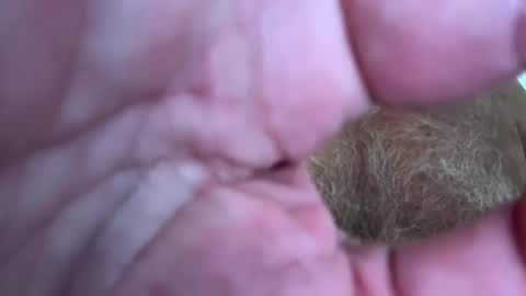 benz10001 online show from 5, 1, 2025