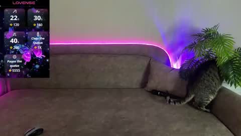 Teya online show from 12, 4, 2026