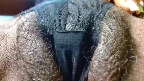 Bethany Wilson online show from 24, 1, 2025