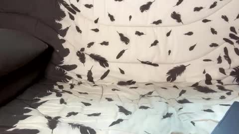 betterthanmen online show from 13, 2, 2025