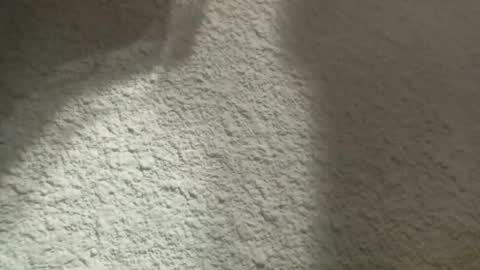 Bigfish123 online show from 12, 3, 2025