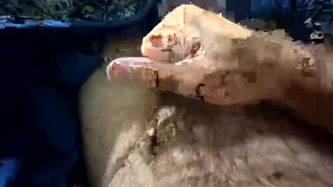 big88385909 online show from 21, 10, 2025