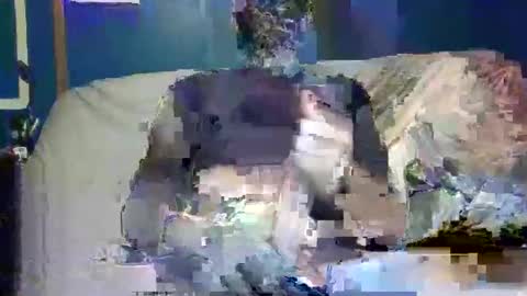 Snapshot of big9inchsnake chatting on 9, 12, 2024 big9inchsnake online show from 9, 12, 2024