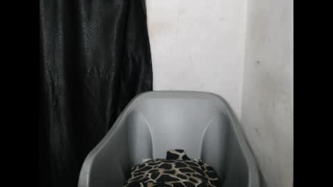 bigassdrip online show from 21, 4, 2026