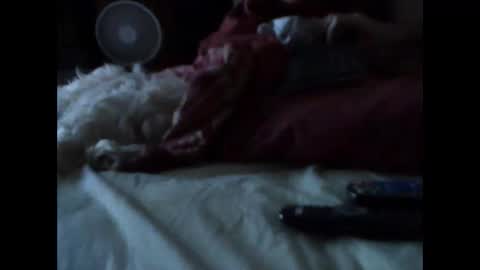 BB online show from 14, 3, 2026