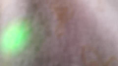 Snapshot of bigdad14140 chatting on 9, 12, 2024 BigDad14140 online show from 9, 12, 2024