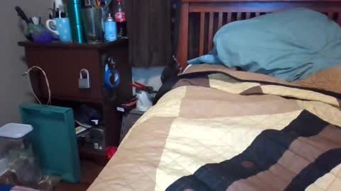 BigDaddy199030 online show from 13, 2, 2025