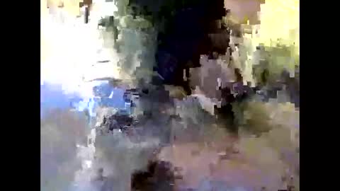 Snapshot of bigdaddydongarlets391292 chatting on 24, 10, 2025 bigdaddydongarlets391292 online show from 24, 10, 2025