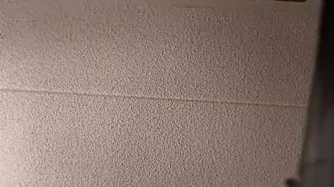 bigdickdaddy7201979564868 online show from 23, 2, 2026