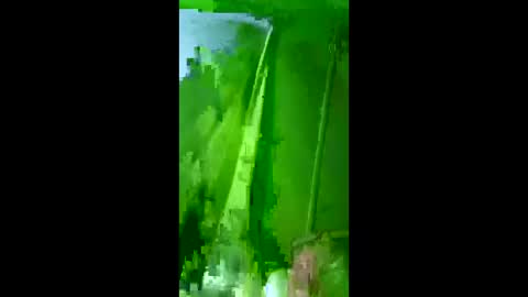 bigdog9thick online show from 3, 12, 2025