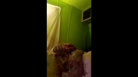 bigdog9thick online show from 29, 4, 2026