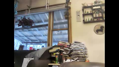 bigelectricrod online show from 5, 1, 2025