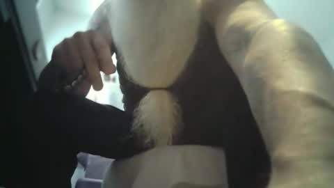 bigjeff01 online show from 11, 2, 2026