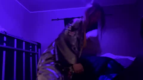 Snapshot of bigkitties69 chatting on 23, 1, 2025 Bigkitties online show from 23, 1, 2025