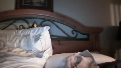 bigload1972 online show from 22, 1, 2025