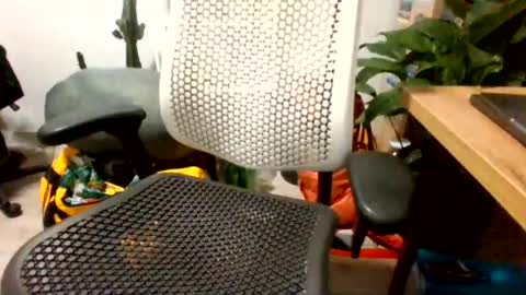 bigpolishdick12345 online show from 24, 6, 2026