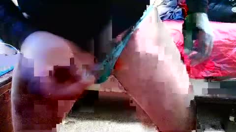 bigsissycock online show from 28, 7, 2026