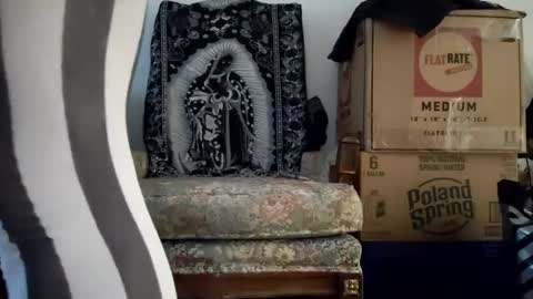 bigtopcircus online show from 22, 9, 2025