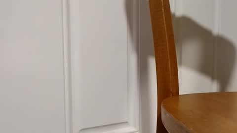 bigtopcircus online show from 28, 2, 2026