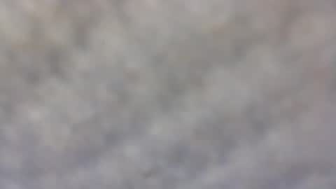 billmenow141 online show from 11, 2, 2025