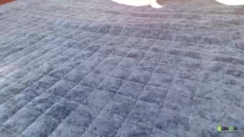 Bill online show from 23, 4, 2026