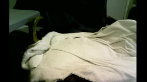 Snapshot of bimale4hotphuk chatting on 20, 2, 2025 bimale4hotphuk online show from 20, 2, 2025