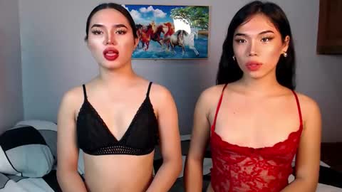 Kate online show from 13, 9, 2025