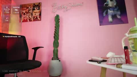 bitchysalome online show from 19, 4, 2026