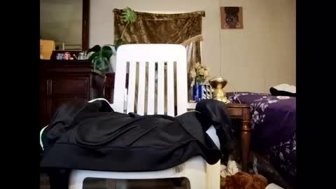 blacccocc4u2 online show from 29, 3, 2026