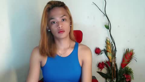 Nympha online show from 24, 4, 2026