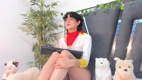 B L A C K  R O S E  online show from 31, 1, 2025