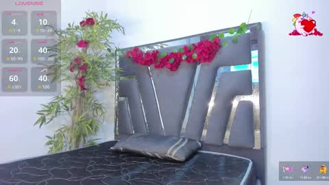 B L A C K  R O S E  online show from 19, 2, 2025