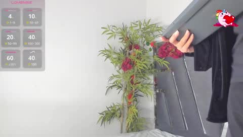 B L A C K  R O S E  online show from 10, 3, 2025