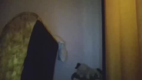 black african online show from 20, 11, 2025