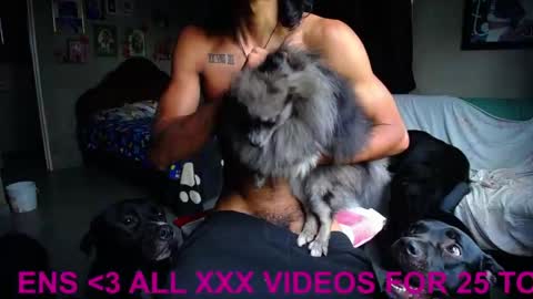 Black Panther online show from 23, 4, 2026