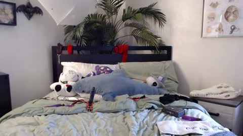 Roselina online show from 7, 1, 2025