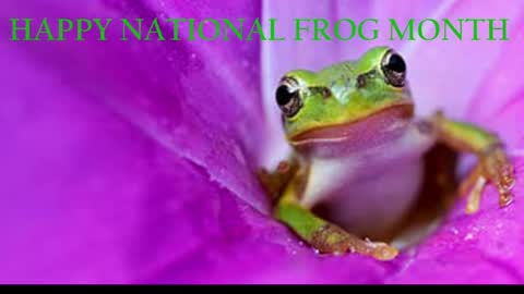 Queen Siren online show from 1, 4, 2026