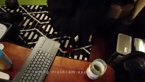 Snapshot of blakjag chatting on 13, 2, 2025 Blackjag00 online show from 13, 2, 2025