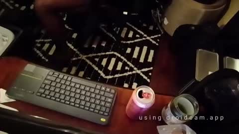 Snapshot of blakjag chatting on 14, 2, 2025 Blackjag00 online show from 14, 2, 2025